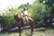 Fotografia (4)_tiny